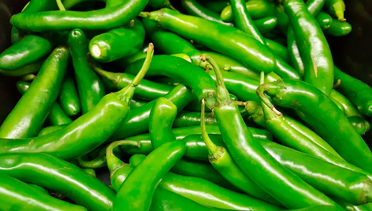 salsa robertina guerrero receta